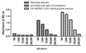 Rat에서 제조한 heat inactivated MERS CoV 면역혈청 indirect ELISA