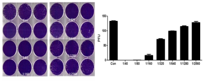 MERS CoV spike protein 혈청 (rabbit)의 중화항체가 측정