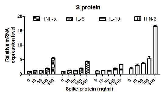 수지상세포에서 S protein에 의한 사이토카인 mRNA 발현