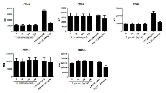 S protein에 의한 수지상세포의 활성화 분석