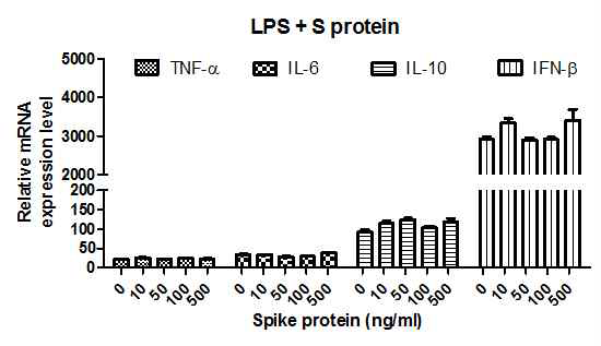 수지상세포에서 poly I:C에 의한 사이토카인 mRNA 발현에 대한 S protein의 영향