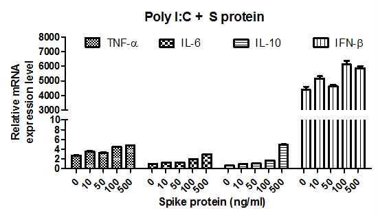 수지상세포에서 LPS에 의한 사이토카인 mRNA 발현에 대한 S protein의 영향