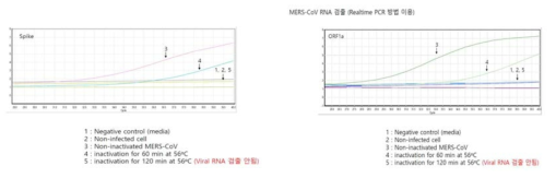 MERS-CoV의 불활화를 측정하기 위해 Spike 유전자 및 ORF1a 부분에 특이적인 프라이머를 사용하여 viral RNA 불검출 확인