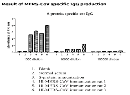 불활화 시킨 MERS 바이러스를 1회 면역한 rat의 MERS 특이 다클론 항체 확인