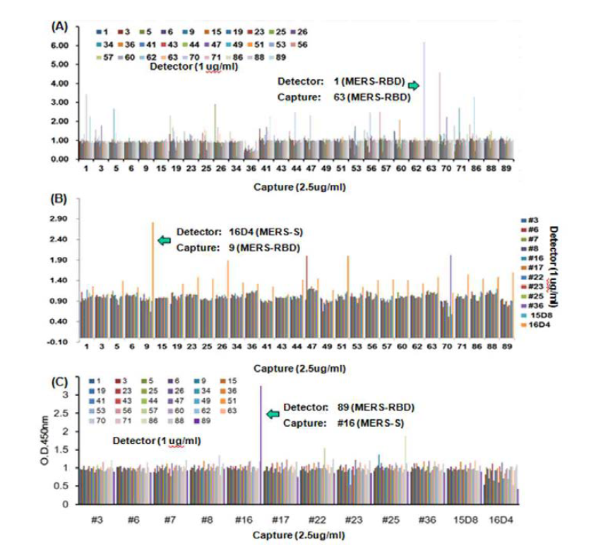 Detector와 capture용 단클론 항체를 다양하게 pair한 sandwich ELISA를 제작한 후 MERS-spike protein이 없는 well과 100 ng을 넣은 well과의 ratio를 통해 pair 선별