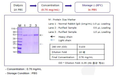 Dialysis & concentration