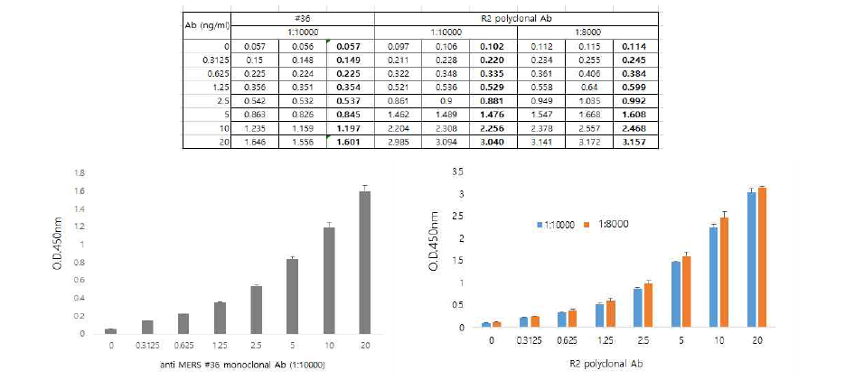 MERS spike protein과 표준항체의 반응성 확인