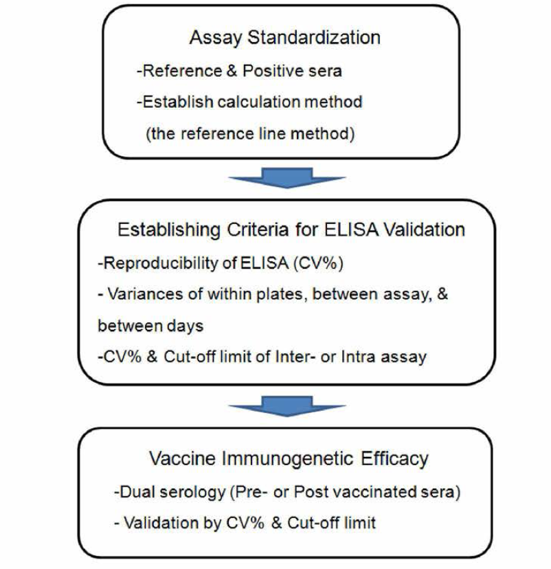 Overall flow of Anti-pertussis immunogenetic evaluation of the new vaccine