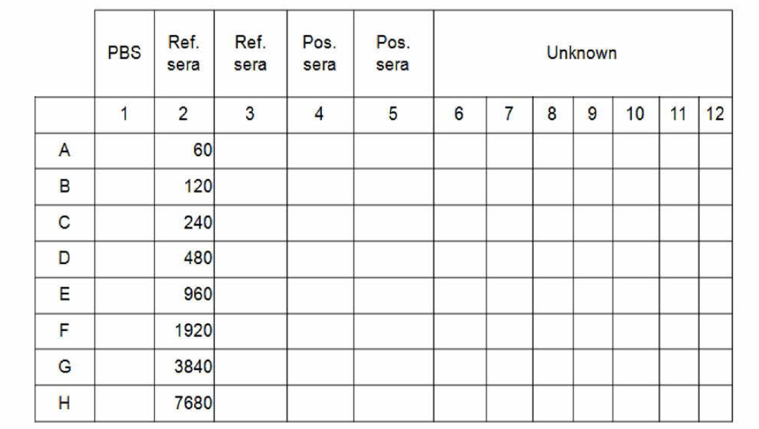 Example of ELISA assay plate