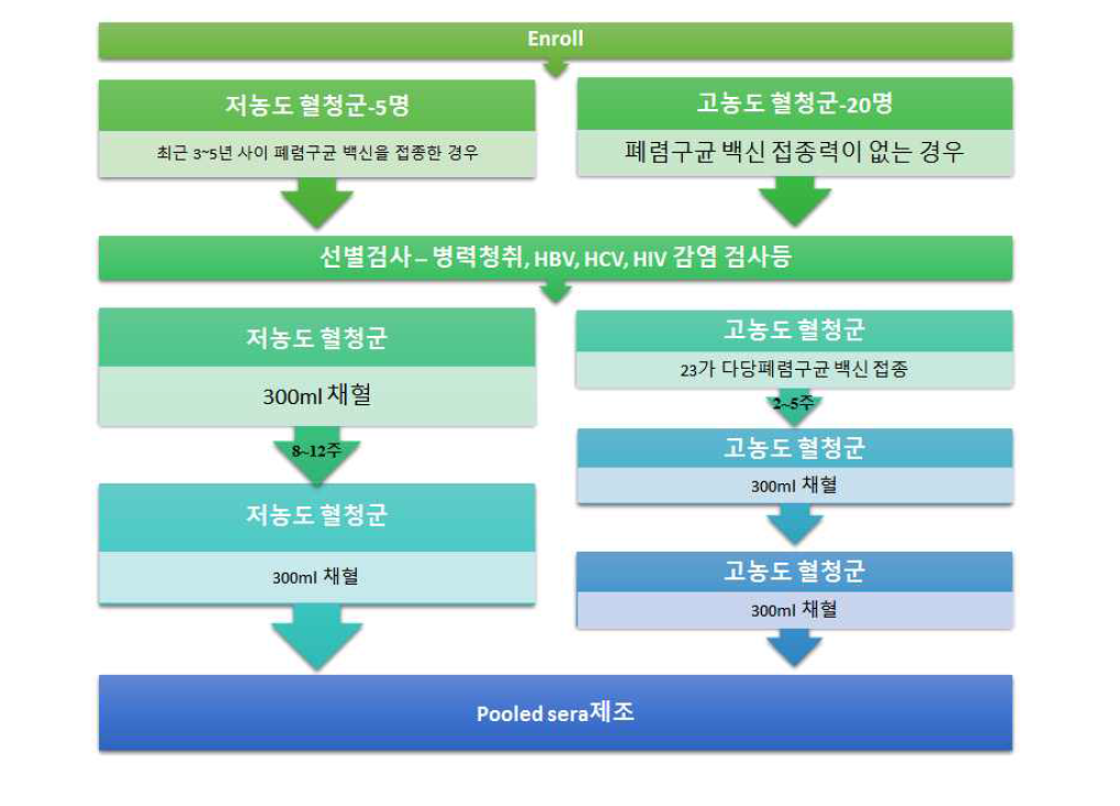 저농도 혈청군과 고농도 혈청군에서 채혈 및 항체가 분석에 이르는 흐름도