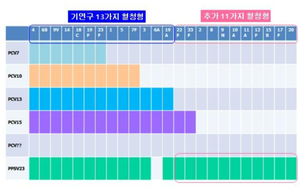 각종 폐구균 백신에 포함된 혈청형