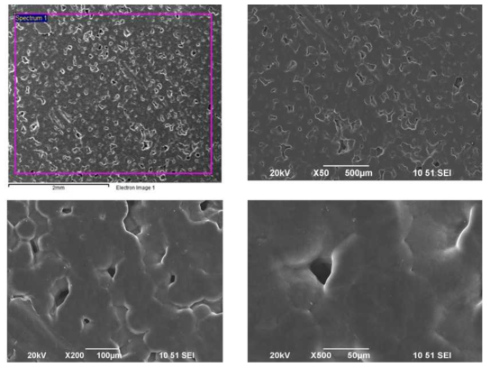 SEM analysis for 3D printed PCL