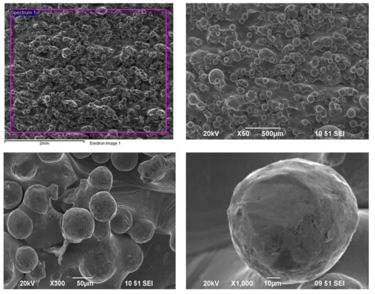 SEM analysis for 3D printed PCL