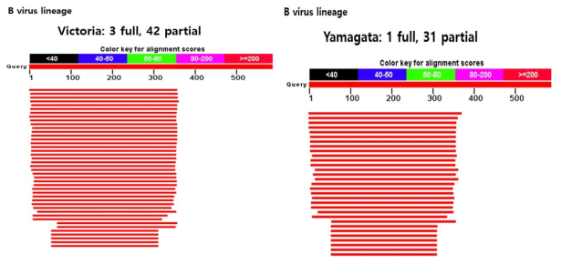 Influenza B lineage and sequence analysis