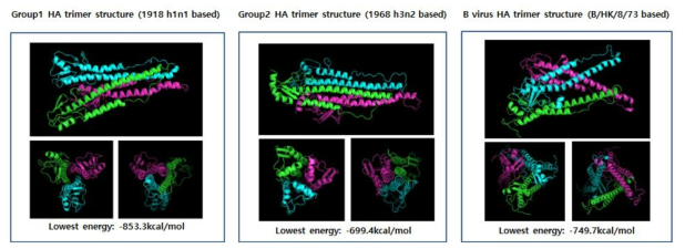 3D trimer structures of HA conserved stalk domains