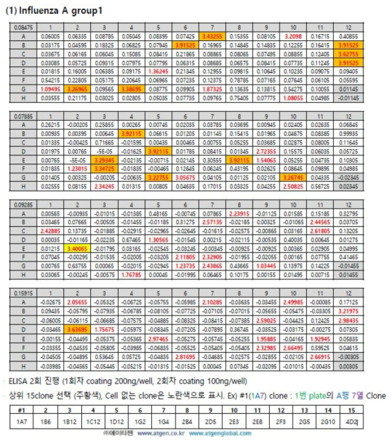 Group A1 에 대한 클론의 ELISA 결과