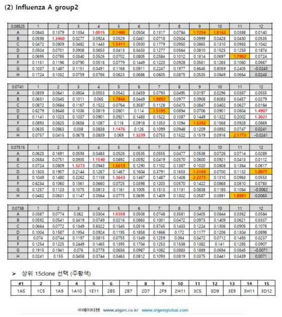 Group A2에 대한 클론의 ELISA 결과