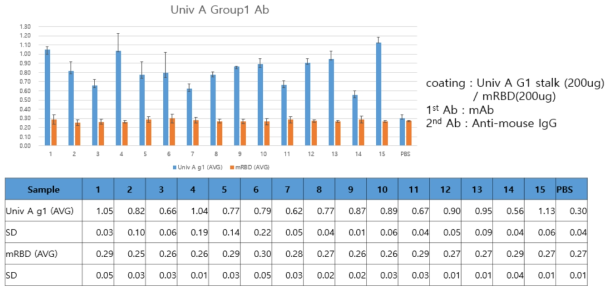 Universal A group 1 단클론항체의 Universal A group 1 stalk 항원과 mRBD 항원 에 대한 ELISA 결과.