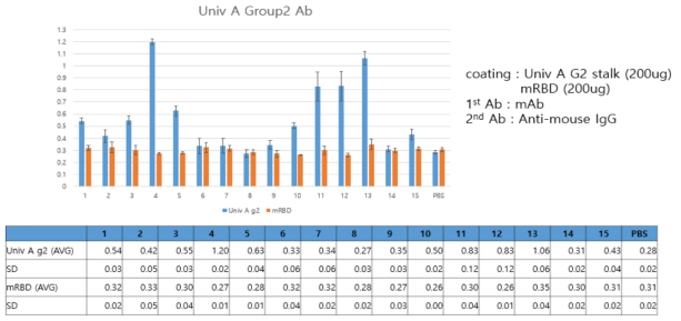 Universal A group 2 단클론항체의 Universal A group 2 stalk 항원과 mRBD 항원 에 대한 ELISA 결과.