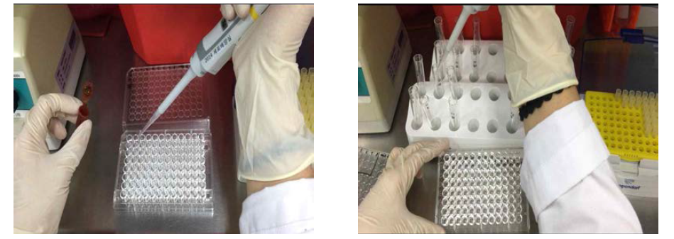 pre-mix 항체 용액을 50 μL 넣어 염색하고 (왼쪽), 세포 세척 후 5mL FACS tube로 옮겨준다 (오른쪽).