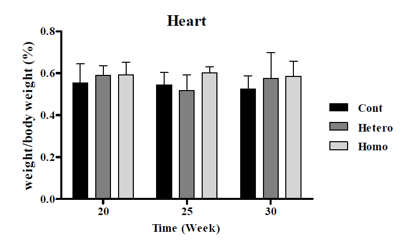 OPN(Cdh16) Male 마우스의 심장 무게 비교 결과