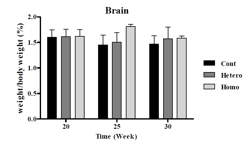 OPN(Cdh16) Male 마우스의 뇌 무게 비교 결과