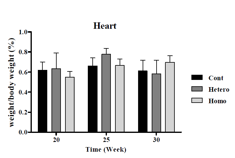 OPN(Cdh16) Female 마우스의 심장 무게 비교 결과