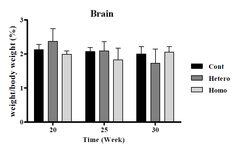 OPN(Cdh16) Female 마우스의 뇌 무게 비교 결과