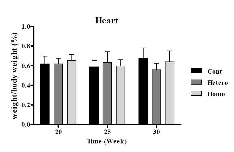 OPN(NPHS2) Male 마우스의 심장 무게의 비교 결과
