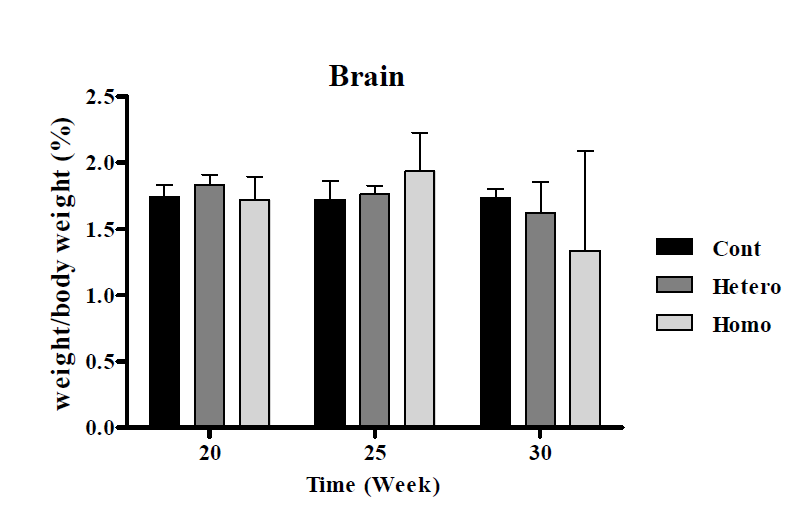 OPN(NPHS2) Male 마우스의 뇌 무게의 비교 결과