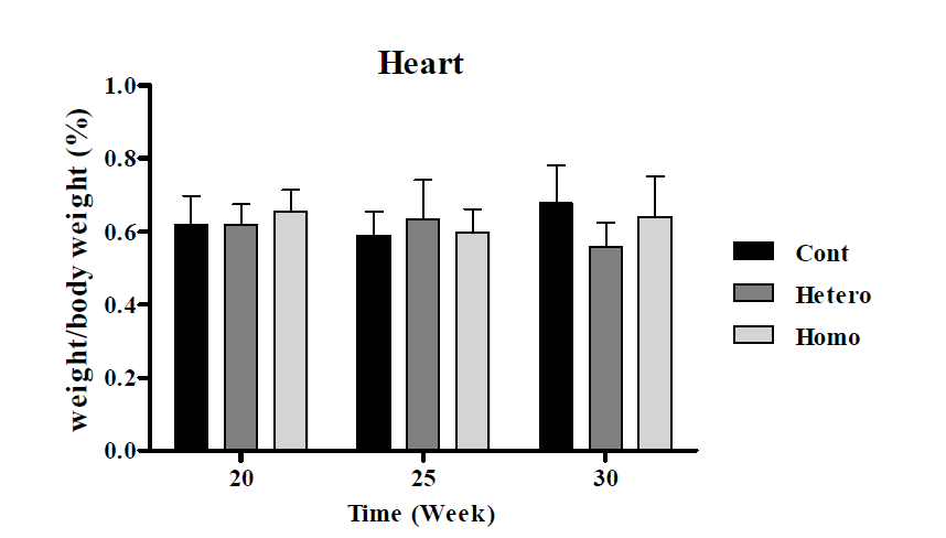 OPN(NPHS2) Female 마우스의 심장 무게의 비교 결과