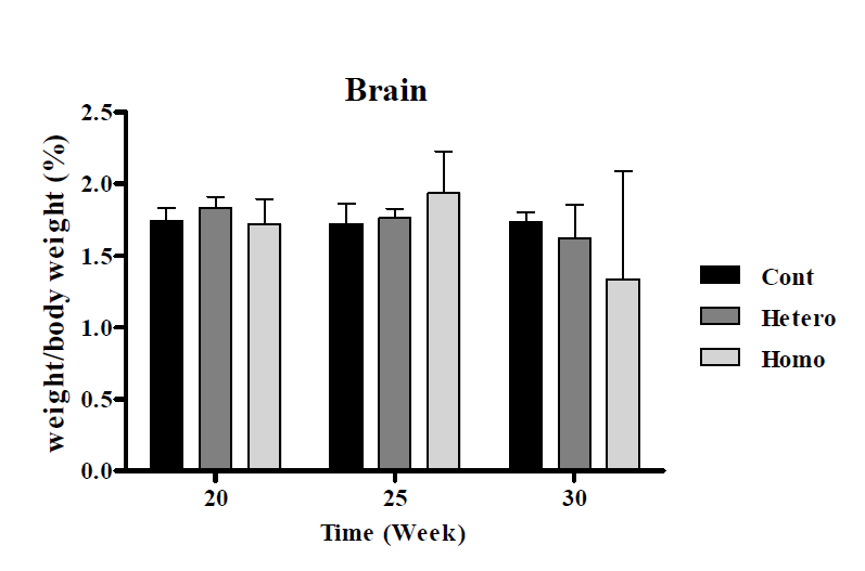 OPN(NPHS2) Female 마우스의 뇌 무게의 비교 결과