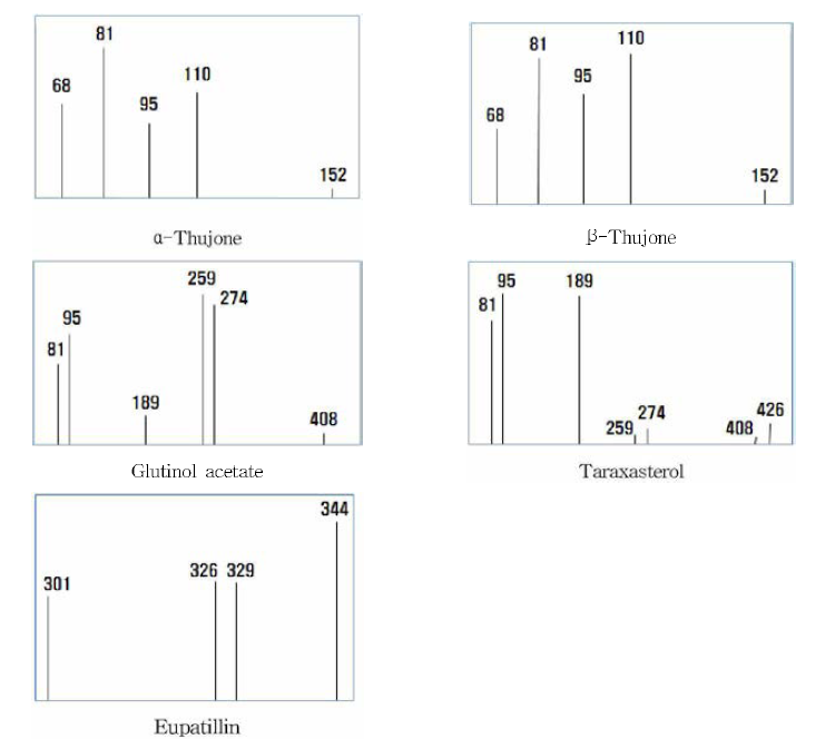쓴쑥 분석지표성분의 GC -MS 스펙트럼