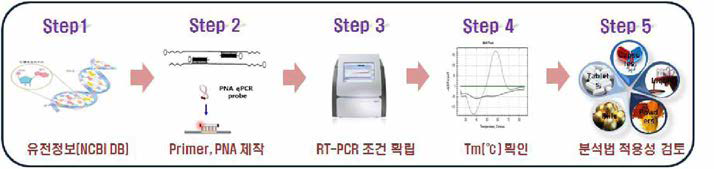 Procedure for Non Edible Food by Real-Time PCR using PNA probe