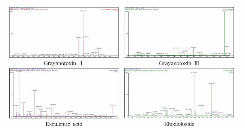 만병초 분석 지표성분 4종에 대한 LC-Q-TOF -MS 의 질량스펙트럼