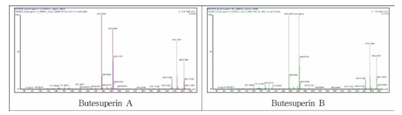 부테아 수페르바 성분 2종의 LC-Q-TOF-M S 의 질량스펙트럼