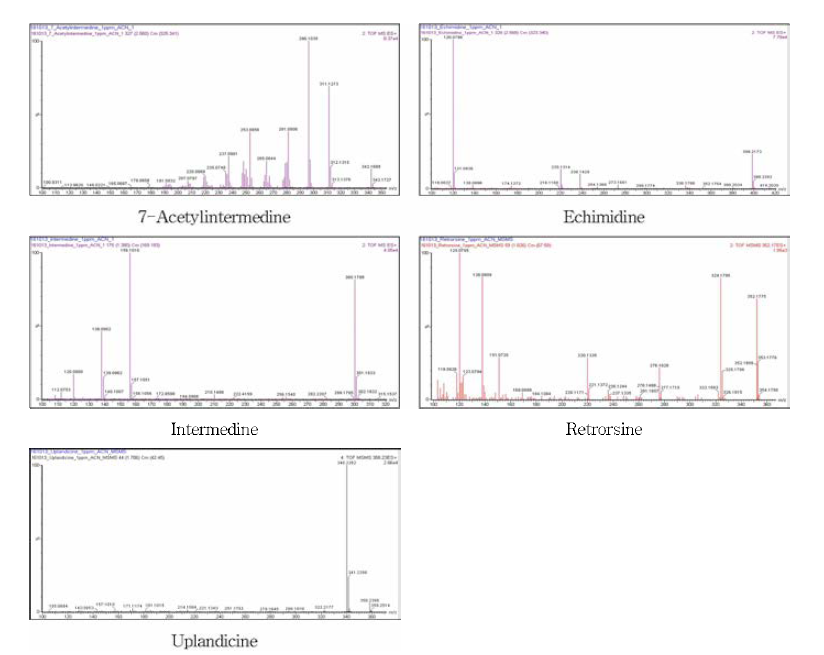 컴프리 분석지표성분 5종의 LC-Q-TOF-MS 의 질량스펙트럼