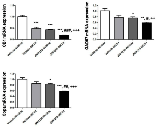 Results of qRT-PCR in the striatum and NAc. of mice brain.