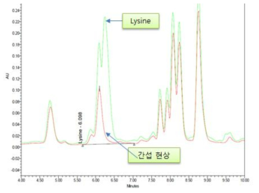 라이신 펩타이드와 간섭물질의 예-2