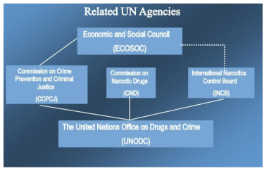 UN 마약 통제기구 관리 모식도