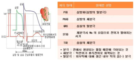 심전도 개념