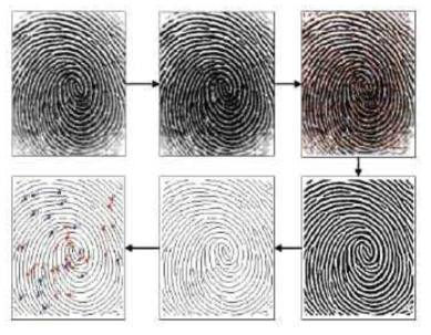 지문의 특징점 추출방법