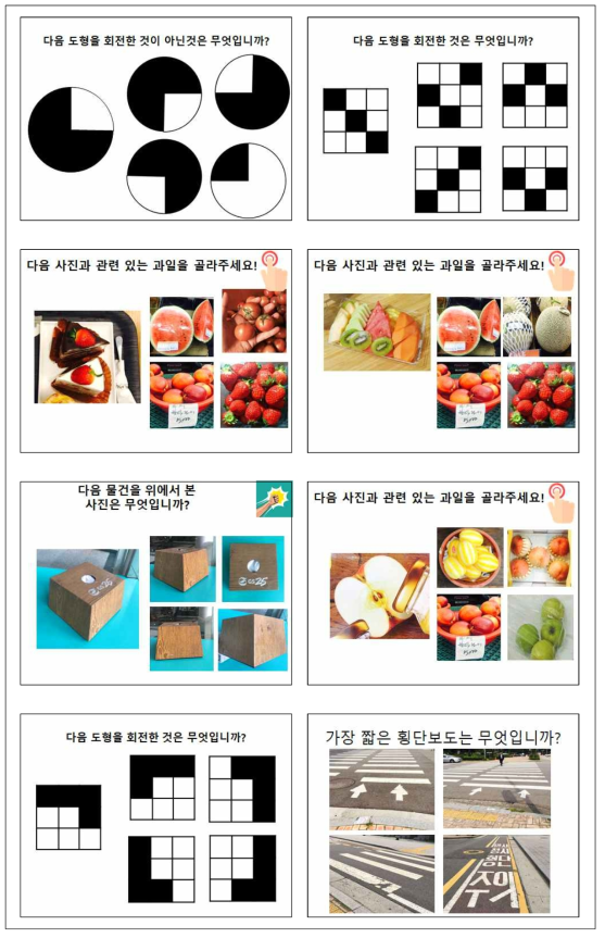 집중력 영역의 형태, 크기 항상성 문제