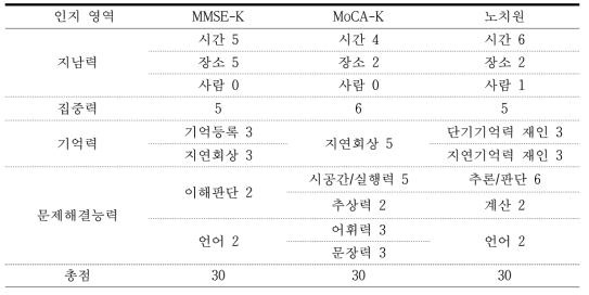 인지평가도구의 인지영역별 배점