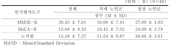 인지평가도구 점수