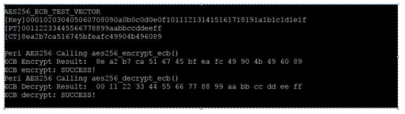 Security SoC 가상화 플랫폼에서의 AES256 / ECB모드 기능 검증
