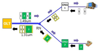 TDM-PON 구조