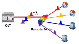 WDM-PON 구조