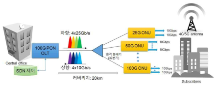 차세대 광액세스망 구조