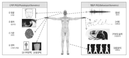 생체인식 유형